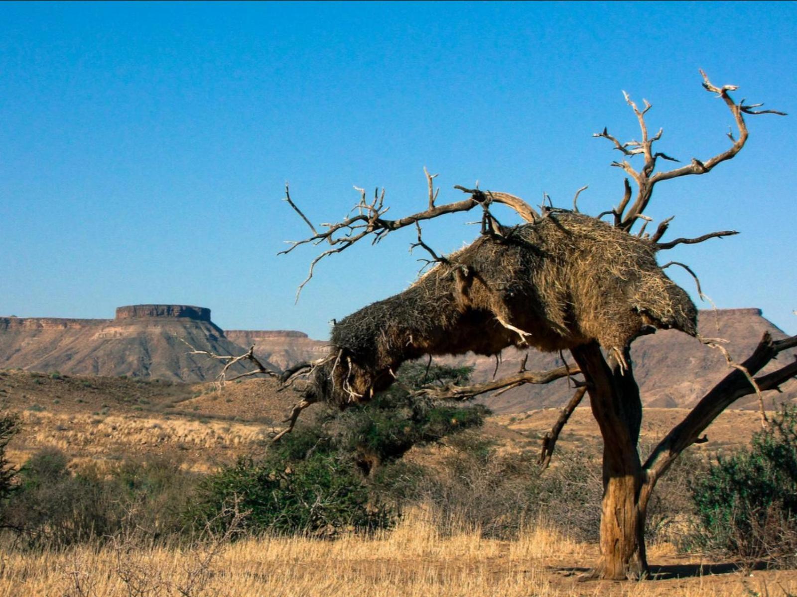 Mount Canyon Guest Farm Keetmanshoop Zewnętrze zdjęcie