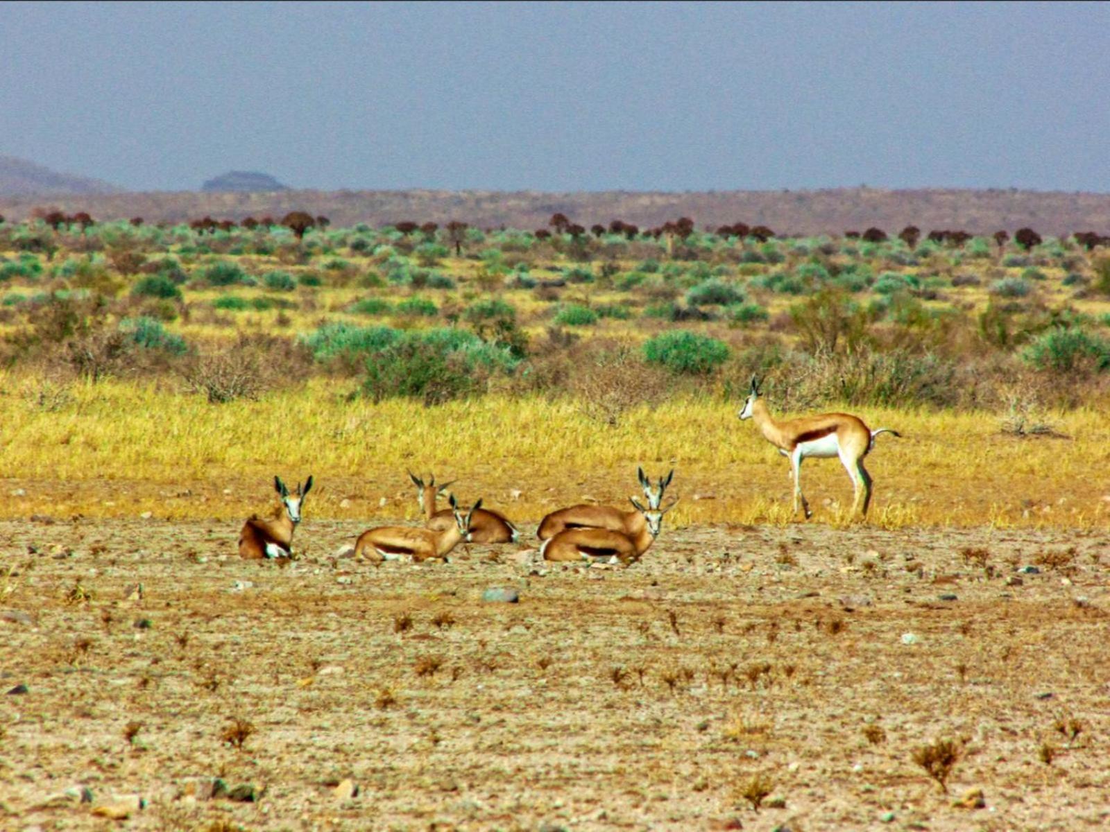 Mount Canyon Guest Farm Keetmanshoop Zewnętrze zdjęcie