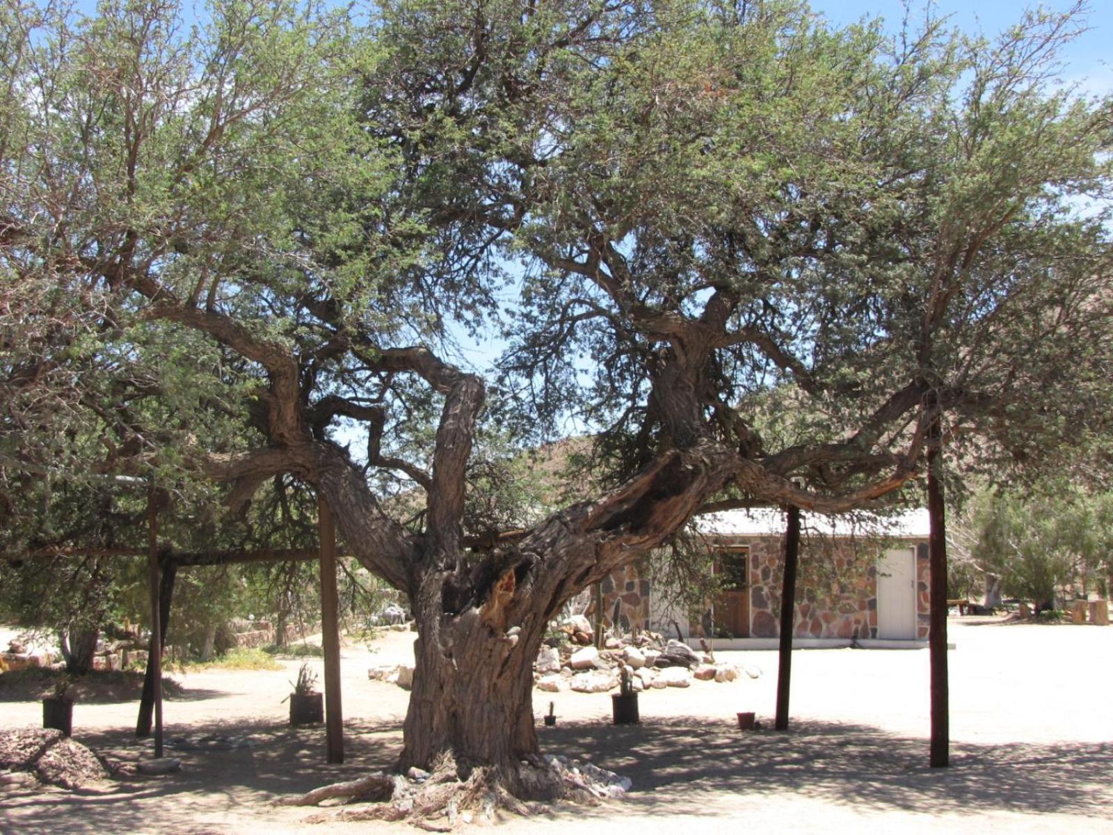 Mount Canyon Guest Farm Keetmanshoop Zewnętrze zdjęcie